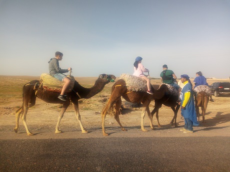 Family Camel Ride in Agafay Desert