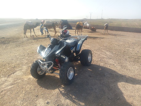 Camel Ride & Quad Bike in Agafay Desert
