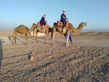 Camel Ride in Agafay Desert