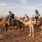 marrakech desert day trip
